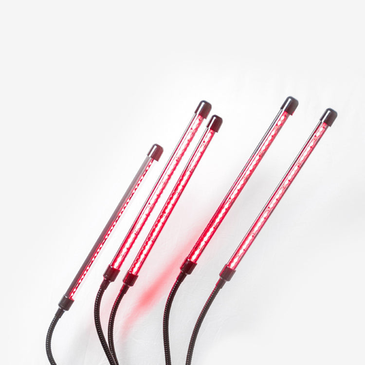 Red Light Therapy